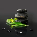 Logo of Garden Zen Live Wallpaper android Application 