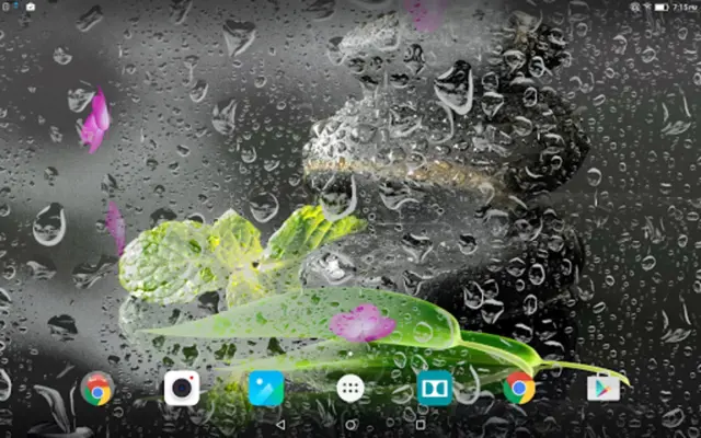 Garden Zen Live Wallpaper android App screenshot 0