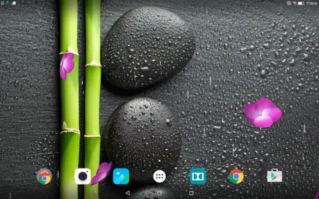 Garden Zen Live Wallpaper android App screenshot 1