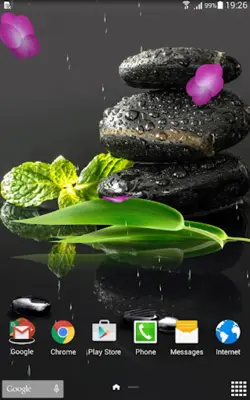 Garden Zen Live Wallpaper android App screenshot 3